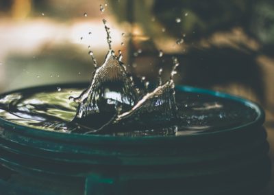 Sustainability News | Water | October 2021