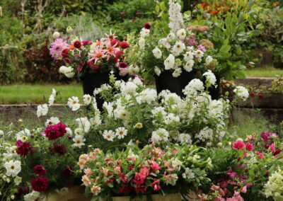 British Blooms: Cultivating a Sustainable Wedding Future This British Flower Week 2025 and Beyond!