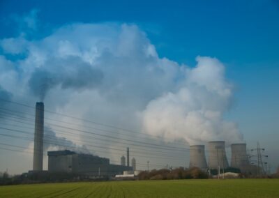 Navigating the Path to Net Zero: A Guide for Wedding Professionals