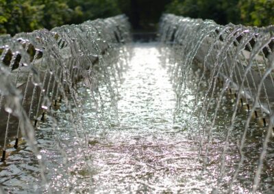 Water and Weddings: Why This Week Matters and What You Can Do About It