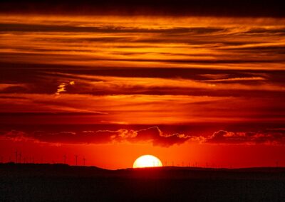 Beyond Comfort: Why Heat Resilience Is Your Most Important Business Strategy